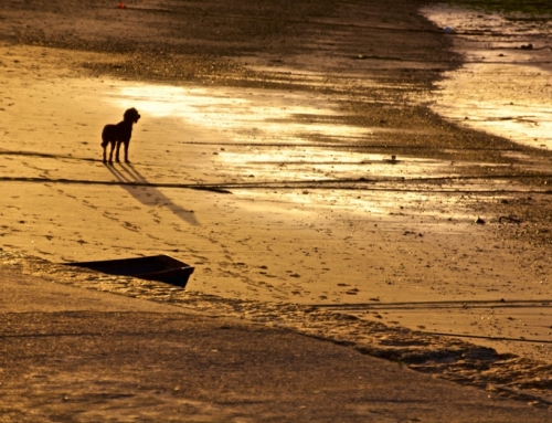 September morning in St Ives, Cornwall