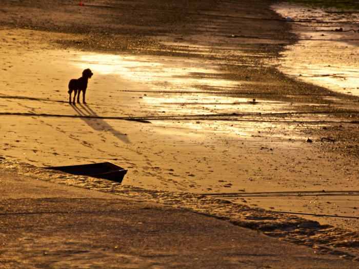 September morning in St Ives, Cornwall
